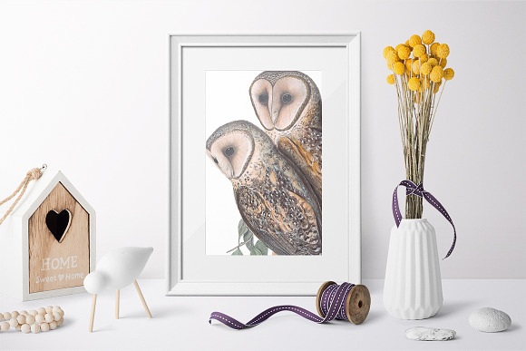 Barn Owl Masked Vintage Birds in Illustrations - product preview 5