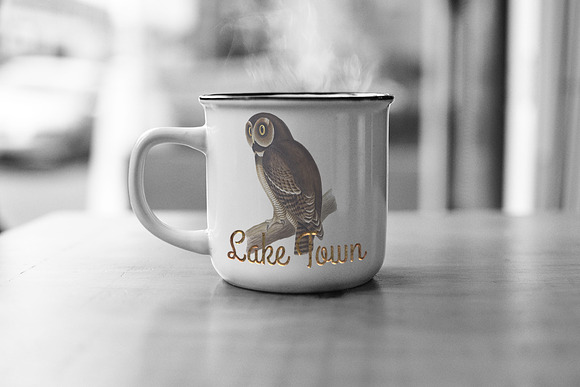 Wood Owl Nepal Brown Vintage Bird in Illustrations - product preview 3