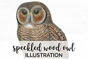 Wood Owl Speckled Vintage Bird