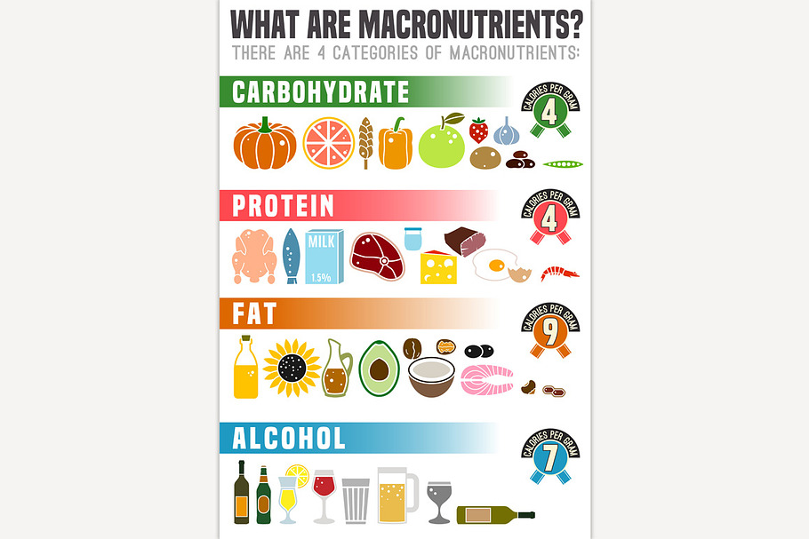 Main food groups macronutrients