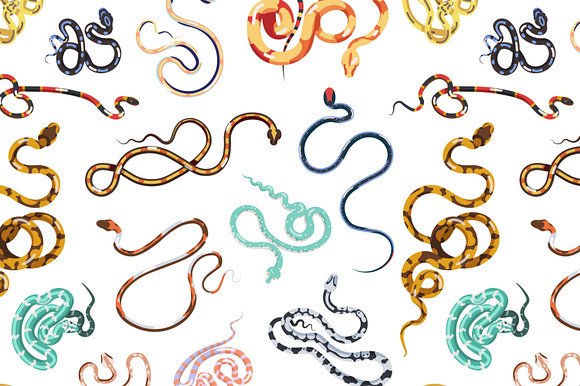 Snakes set and seamless in Illustrations - product preview 9