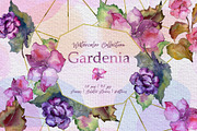 Gardenia Watercolor png 