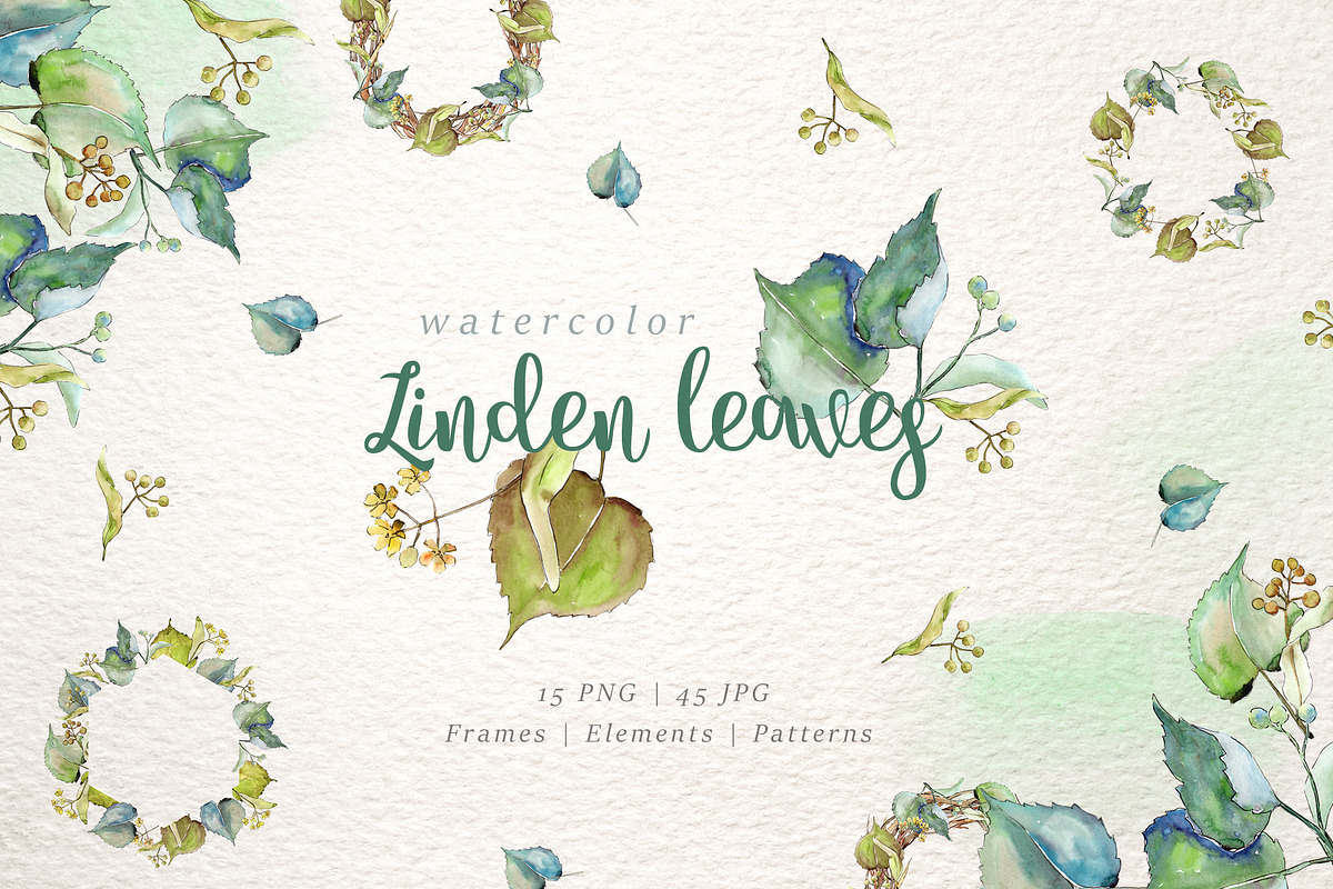 linden leaves Watercolor png in Illustrations - product preview 8