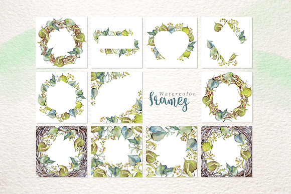 linden leaves Watercolor png in Illustrations - product preview 4