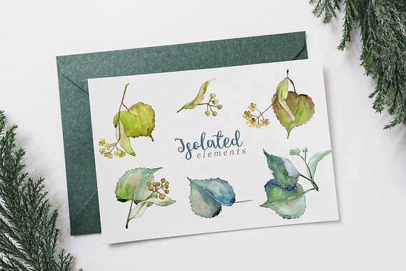 linden leaves Watercolor png in Illustrations - product preview 5