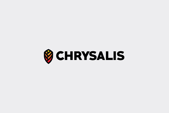 Chrysalis Logo Template in Logo Templates - product preview 3