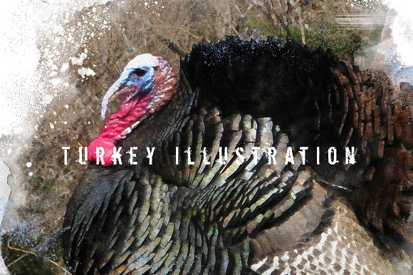 Turkey Thanksgiving Illustration in Illustrations - product preview 1