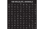 Wildlife, animals editable line