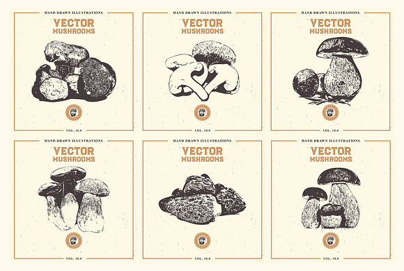 VECTOR MUSHROOMS BUNDLE 10.0 in Illustrations - product preview 1