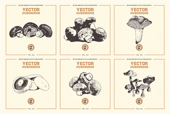VECTOR MUSHROOMS BUNDLE 10.0 in Illustrations - product preview 2