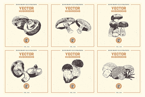 VECTOR MUSHROOMS BUNDLE 10.0 in Illustrations - product preview 4