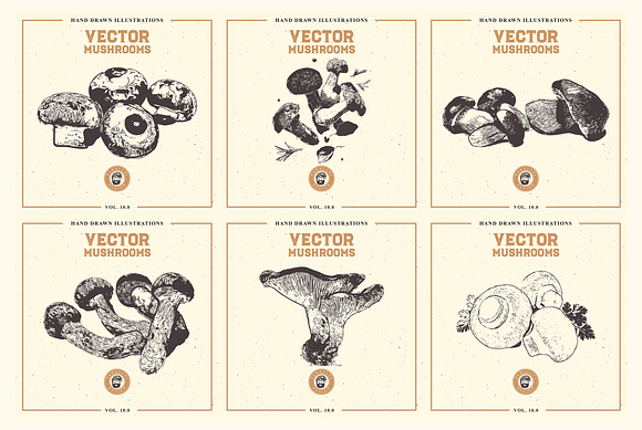 VECTOR MUSHROOMS BUNDLE 10.0 in Illustrations - product preview 5