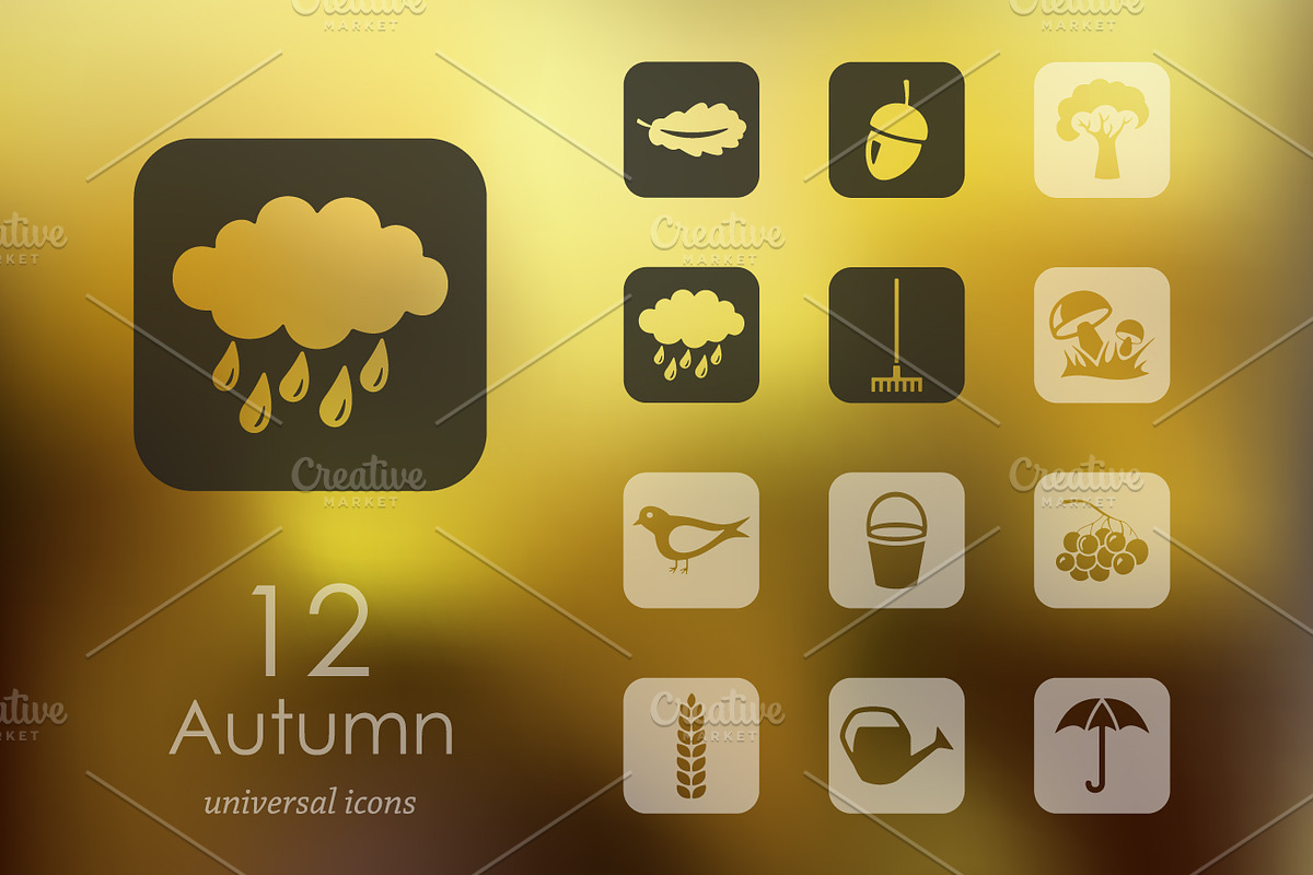 12 autumn icons in Graphics - product preview 8