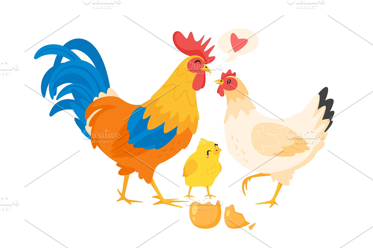 Chicken family: hen, rooster in Illustrations - product preview 8
