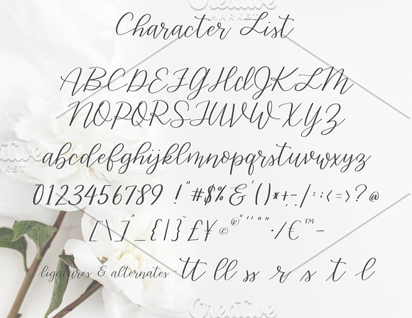 Gracefully-a Handwritten Script Font in Scrapbooking Fonts - product preview 4