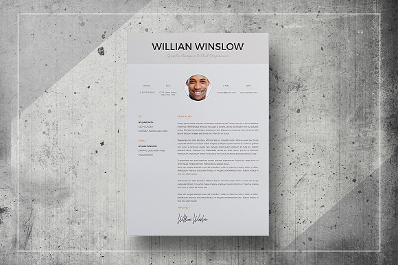 Bundle Resume  in Resume Templates - product preview 6