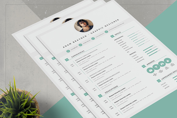 Bundle Resume  in Resume Templates - product preview 9