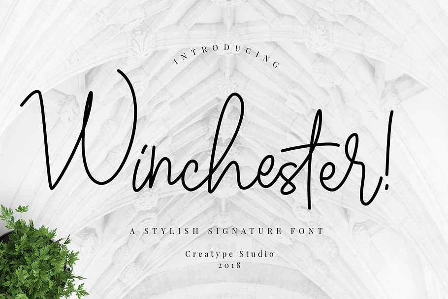 Winchester Signature Script in Script Fonts - product preview 8