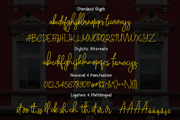 Winchester Signature Script in Script Fonts - product preview 6