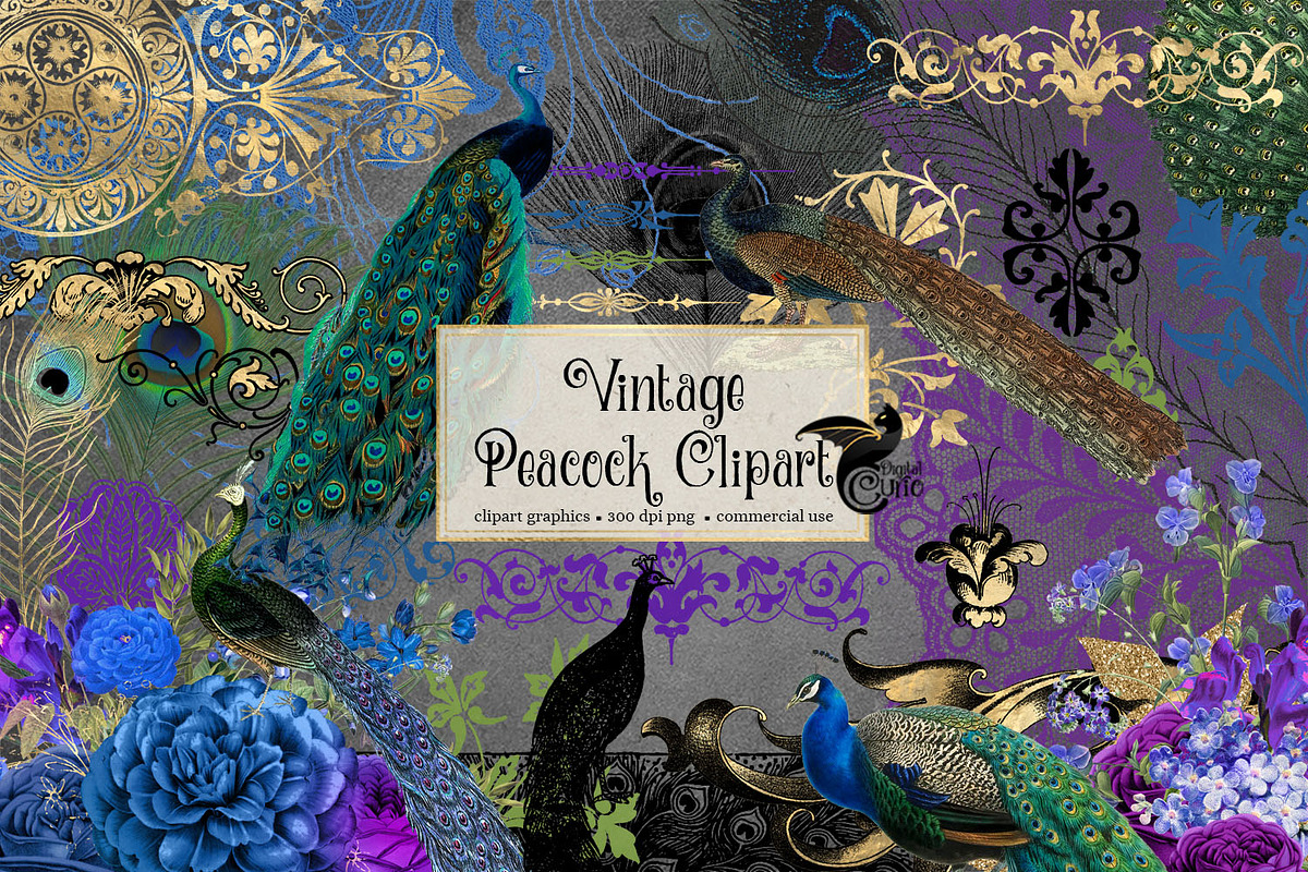 Vintage Peacock Clipart in Illustrations - product preview 8