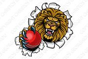 Lion Holding Cricket Ball Breaking