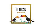 Toucan Bird Flat Design Vector