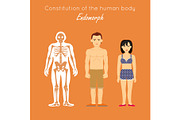 Constitution of Human Body