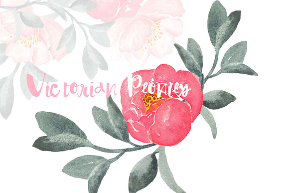 Peonies Victorian Watercolor Clipart in Illustrations - product preview 1