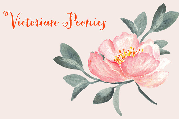 Peonies Victorian Watercolor Clipart in Illustrations - product preview 3