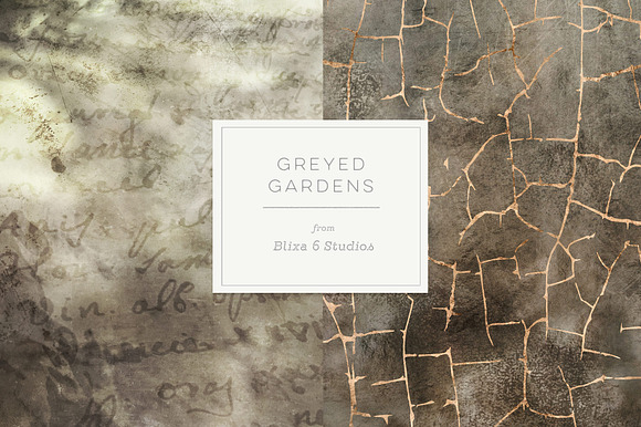 Greyed Gardens & Gold Graphics in Patterns - product preview 1