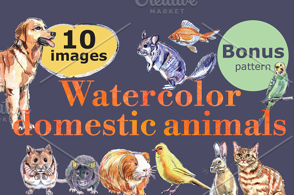 Watercolor vector domestic animals in Illustrations - product preview 5