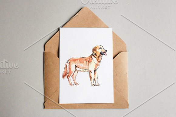 Watercolor vector domestic animals in Illustrations - product preview 6