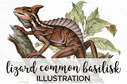 Basilisk Common Vintage Lizard