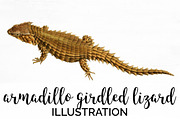 Armadillo Girdled Lizard Vintage