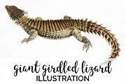 Lizard Giant Girdled Vintage