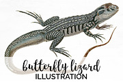 Butterfly Lizard Watercolor Vintage