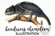 Chameleon Baudriers Vintage Lizard