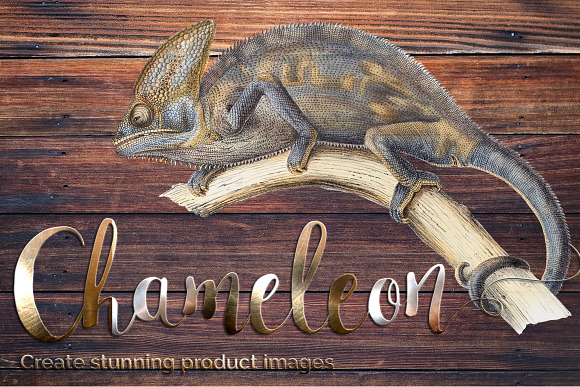Lizard Clipart Chameleon Cape in Illustrations - product preview 3