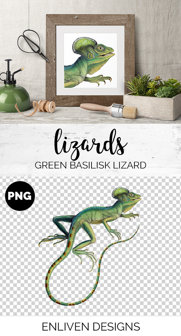 Lizard Clipart Basilisk Green in Illustrations - product preview 1