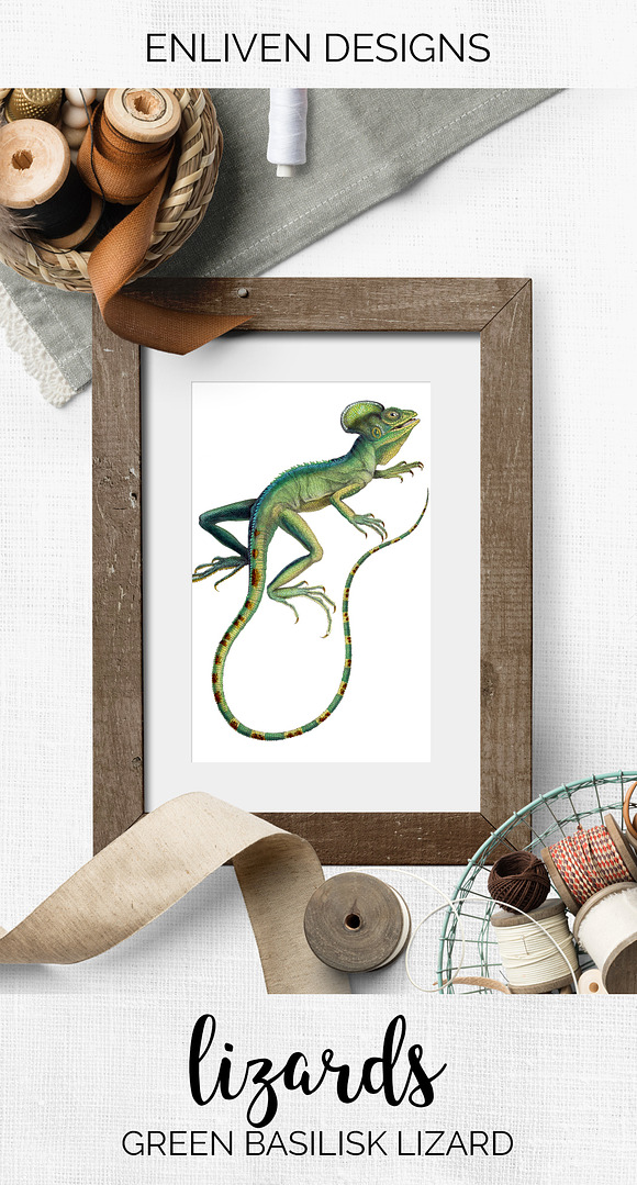 Lizard Clipart Basilisk Green in Illustrations - product preview 7