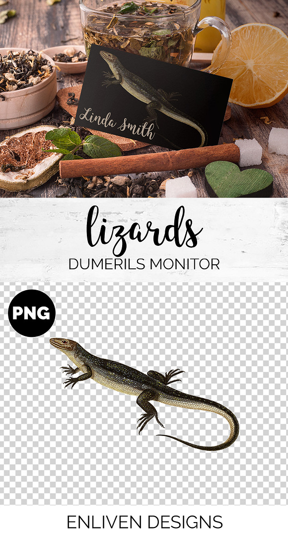 Lizard Clipart Dumerils Monitor in Illustrations - product preview 1