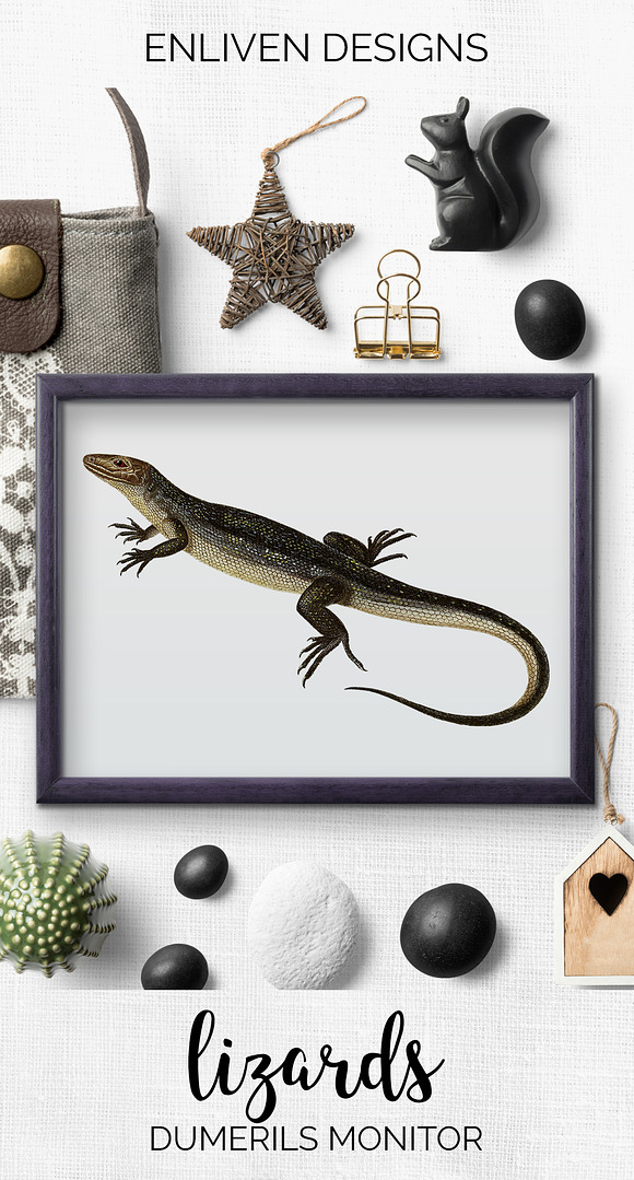 Lizard Clipart Dumerils Monitor in Illustrations - product preview 6