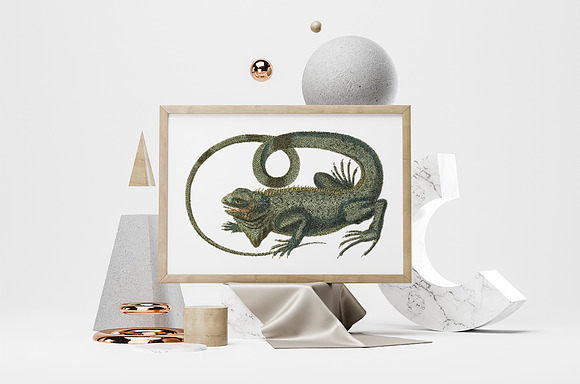 Lizard Clipart Iguana Green in Illustrations - product preview 3