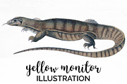Yellow Monitor Lizard Watercolor