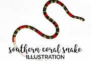 Coral Snake Southern Vintage