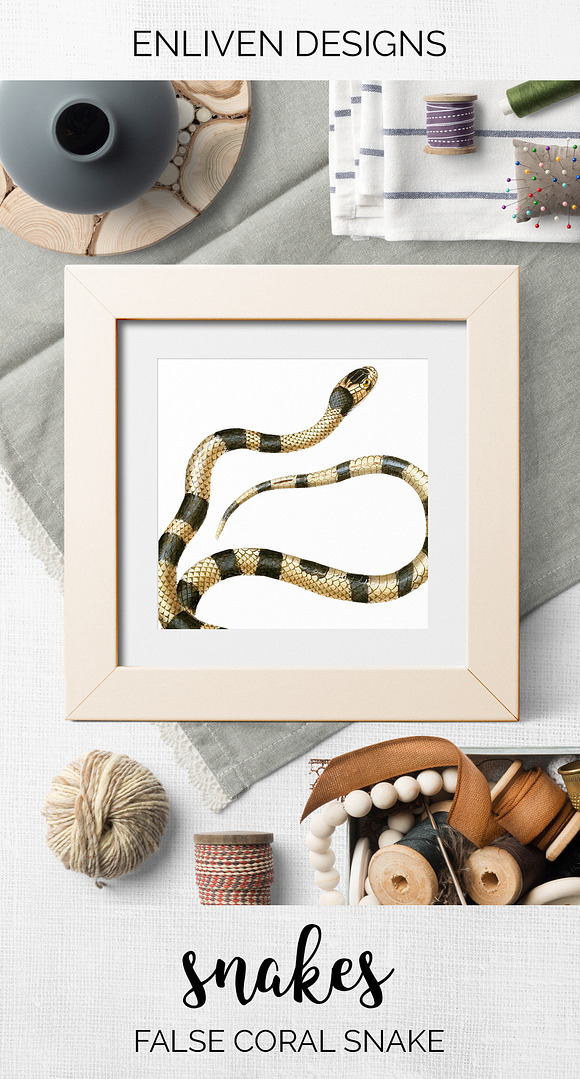Snake False Coral Snake Vintage in Illustrations - product preview 7
