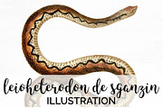 Snake Vintage Watercolor Snake