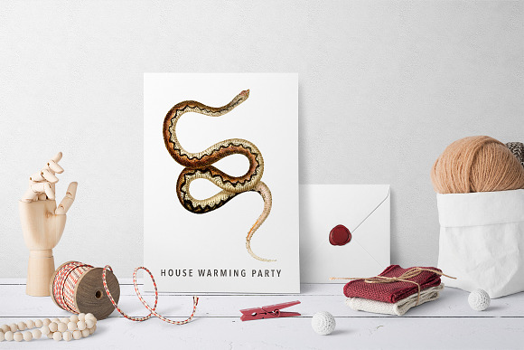 Snake Vintage Watercolor Snake in Illustrations - product preview 5