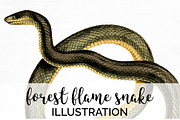 Snake Forest Flame Vintage Snake