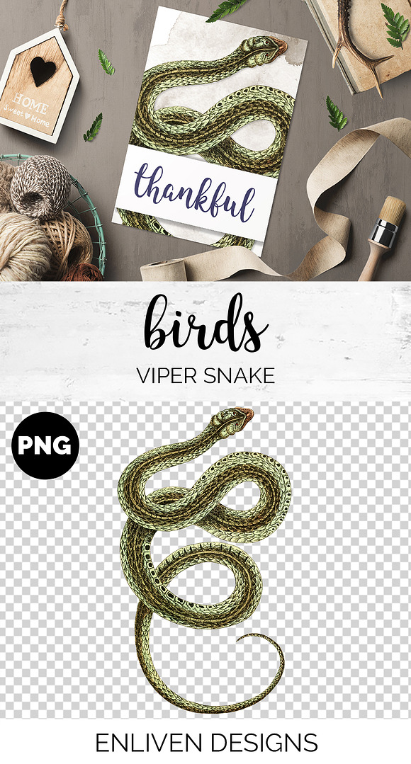 Viper Snake Vintage Watercolor in Illustrations - product preview 1